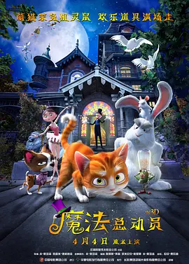 河北彩花种子品种大全2023年