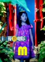 河北彩花种子品种大全2023年